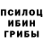 Галлюциногенные грибы ЛСД CrYstaLVet