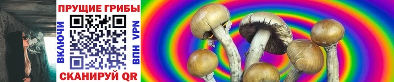 Псилоцибиновые грибы мухоморы  Купить  Кимры 